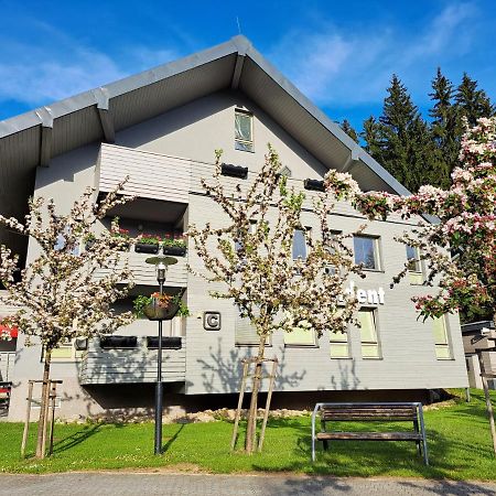 Wellness Apartment Josefina - Free Grotta Spa Wellness Harrachov Esterno foto