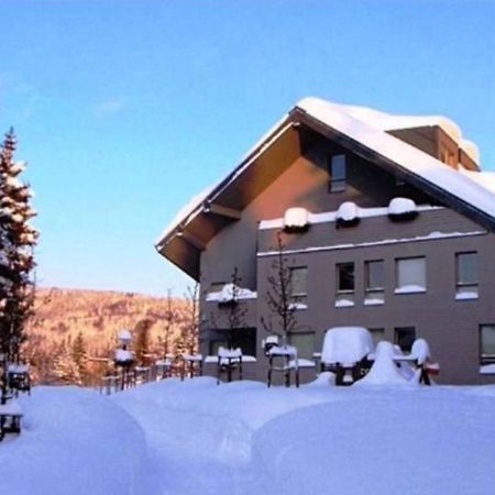 Wellness Apartment Josefina - Free Grotta Spa Wellness Harrachov Esterno foto